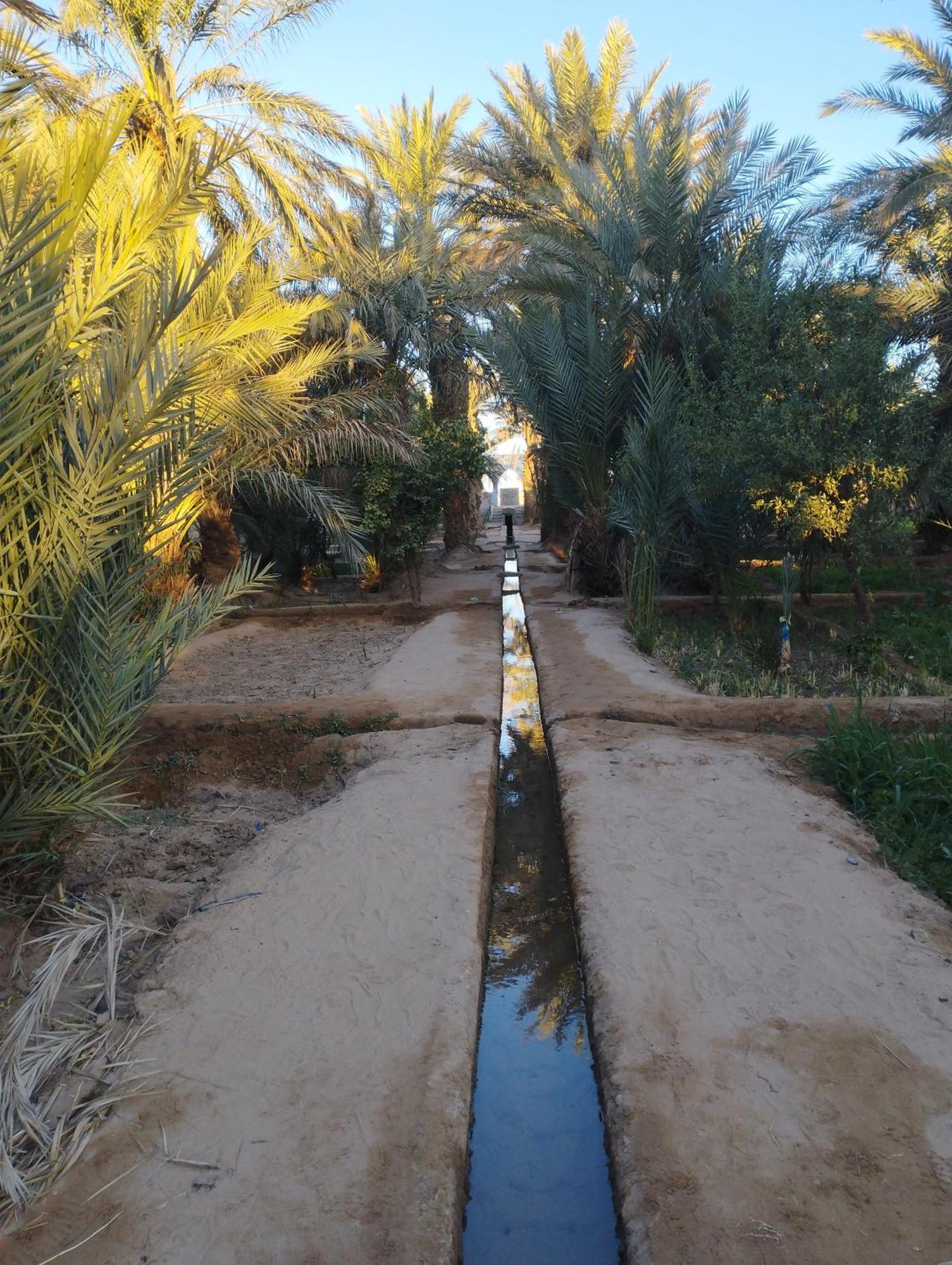 Maison Merzouga Guest House Экстерьер фото