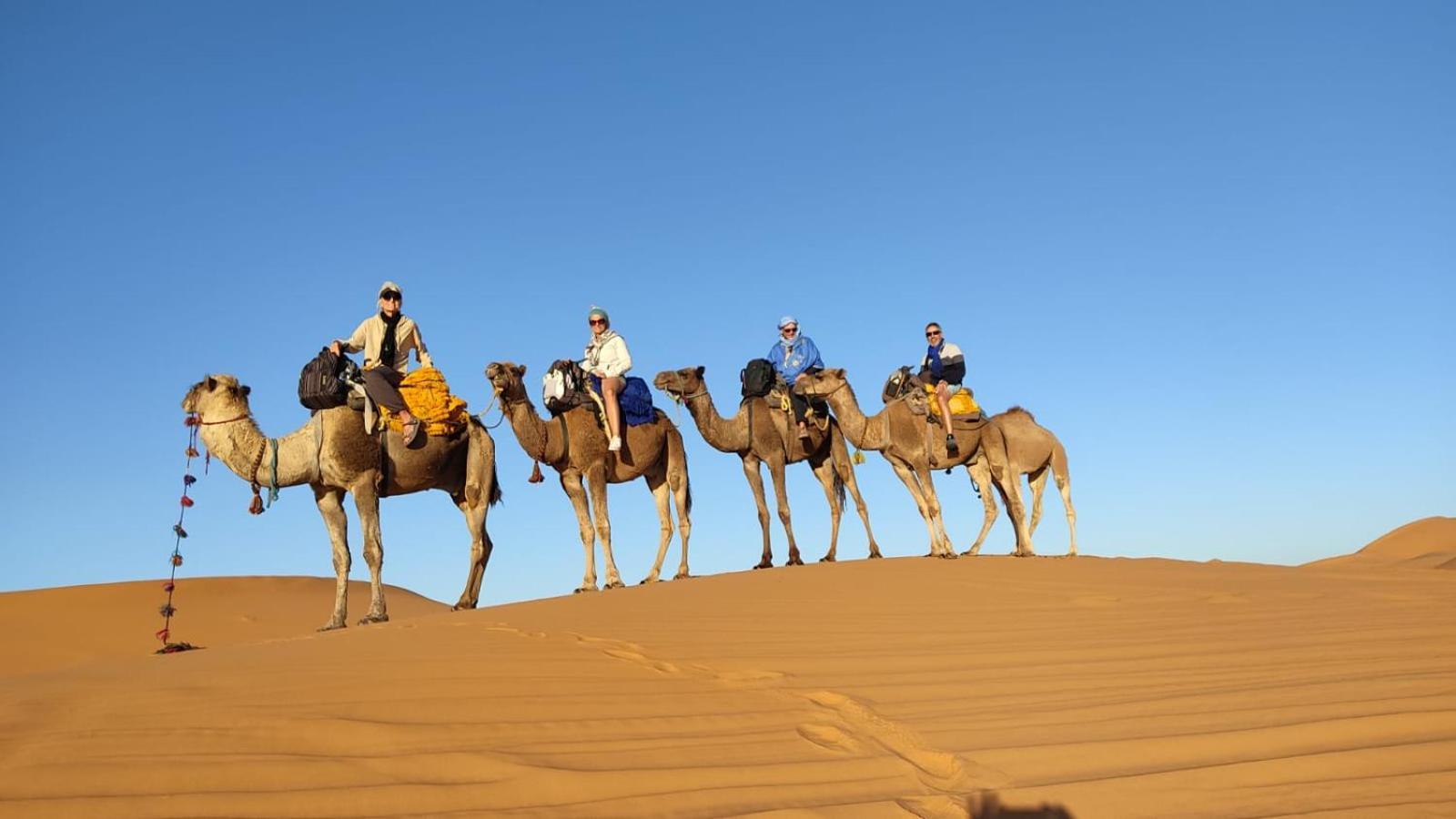 Maison Merzouga Guest House Экстерьер фото