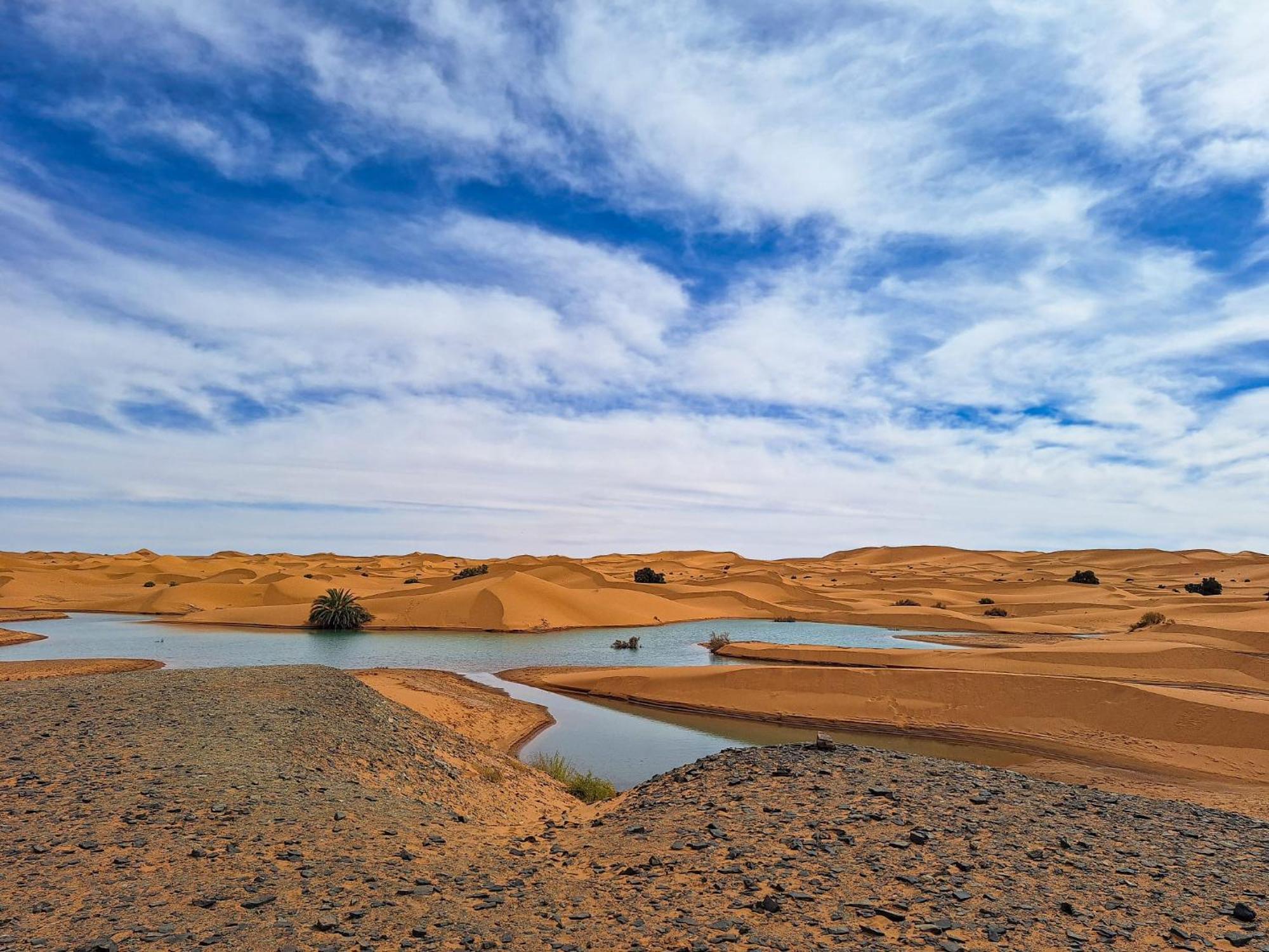 Maison Merzouga Guest House Экстерьер фото