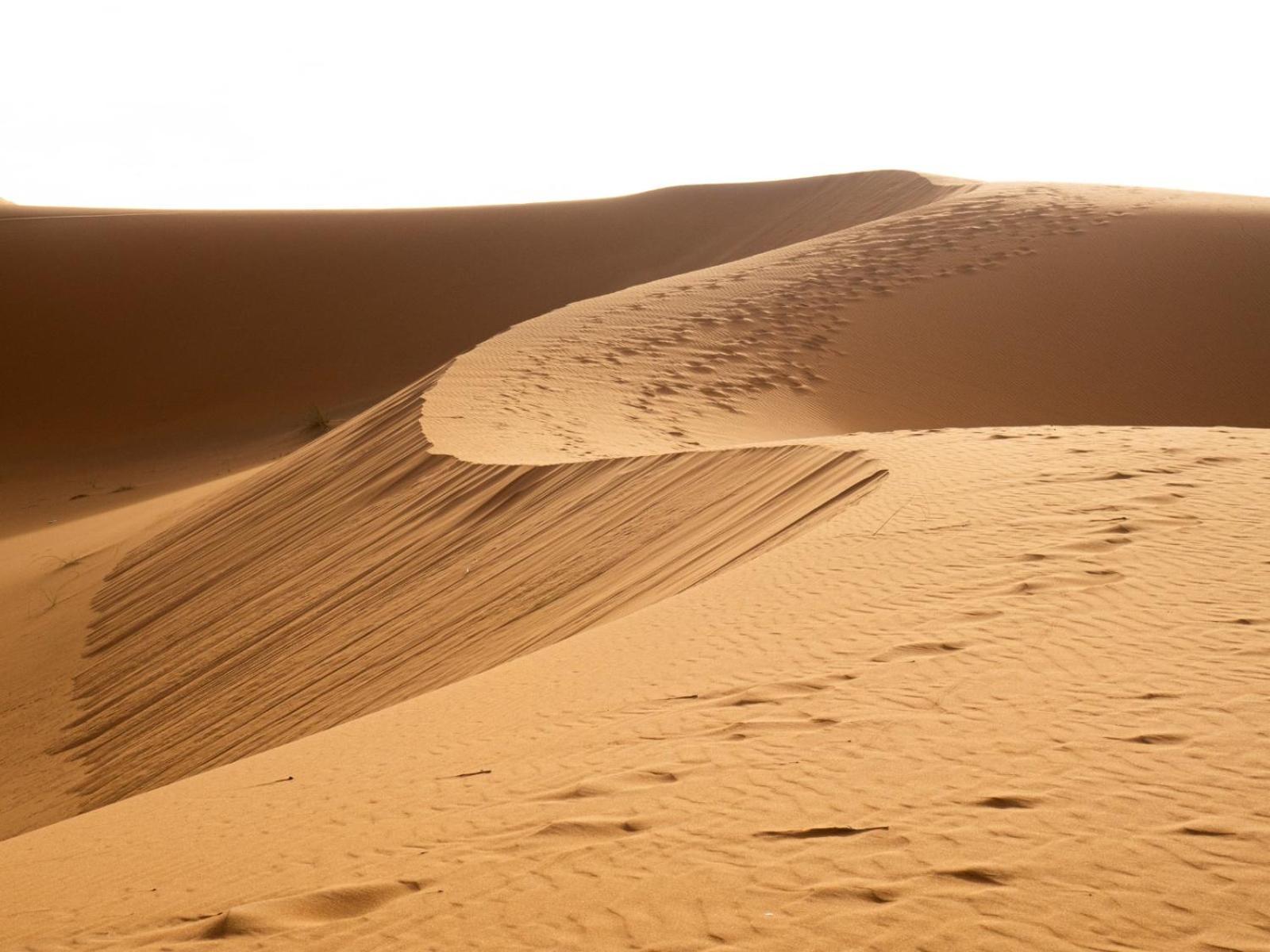 Maison Merzouga Guest House Экстерьер фото